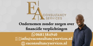 Aangepast logo-banner EA Consultancy Services _1_ _1_